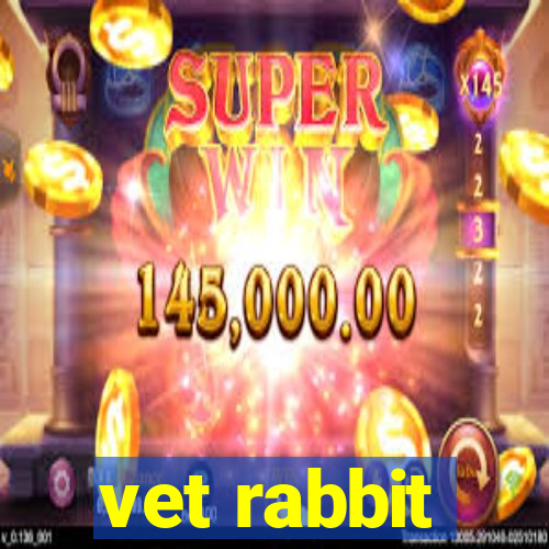 vet rabbit